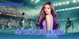 Các thống kê quan trọng cần xem xét khi soi kèo bóng đá