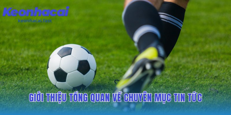 Chuyên mục tin tức cung cấp thông tin tình báo soi kèo