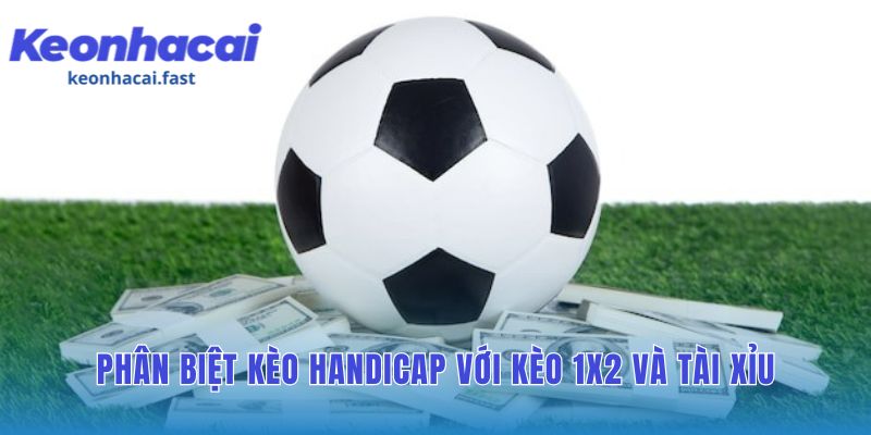 Làm thế nào để đọc hiểu và đặt cược chính xác